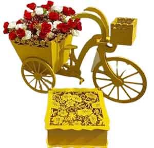 3D دراجة موديل 15