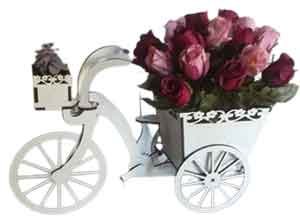 3D دراجة موديل 6