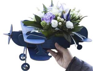 مجسم طائرة موديل 138