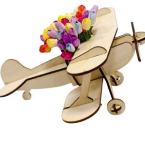 مجسم طائرة موديل 171