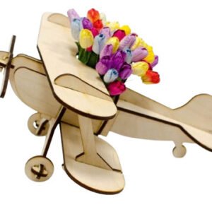 مجسم طائرة موديل 241